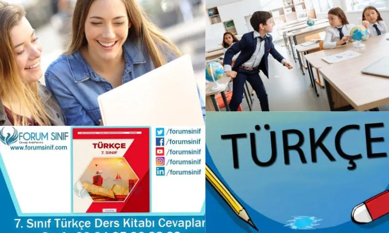7. Sınıf Türkçe Ders Kitabı Cevapları Paragraf Çözümlemeleri
