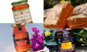 Honey Spoons for Tea Nedir?