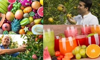 Taze Meyvenin Faydaları: Doğanın En Lezzetli Hediyesi